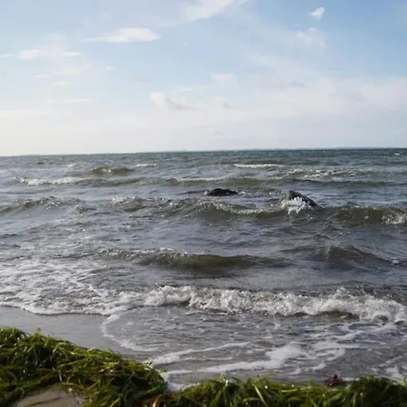 بيت للعطل Charming Harbor Cottage-by Traum *